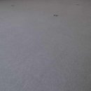 현대리버스텔라공인중개사사무소 이미지