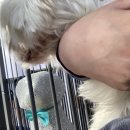 혜민동물병원 이미지