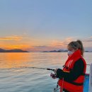 슬기로운 우도생활 이미지