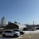 올고존 네이버블로그