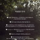 세러데이스냅