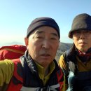 남해 금산