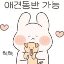 모두까페