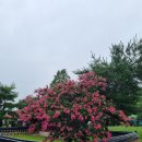 봉동보건진료소 이미지