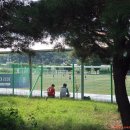 김화생활체육공원(축구장) 이미지