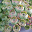 쌍치 농장 이미지