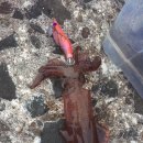 송도해수피아 이미지