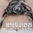 평택이화초등학교 | 평택 두피관리 평택 힐링 CSLMGF 두피탈모센터 케어 후기