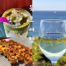 토내노모당 | [동해/묵호] 카페 모음ㅣ 카라멜스테이션 미유키말차 바람의언덕동해타파스 내돈내산 솔직후기