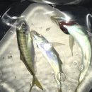 (구)연안여객터미널 이미지