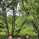 순성어린이집 이미지