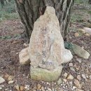 도음산 유아숲체험원 이미지
