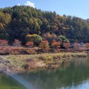 추평농장 이미지