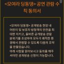 댕동댕 네이버블로그