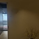 [결혼준비] 청담 웨딩밴드 마노다이아몬드 당일 계약 후기(25년 3월)