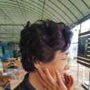 한진희미용타운