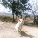 두부명가식당 이미지