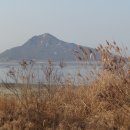 서해황금들녘길 이미지