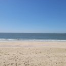 바다힐링 이미지