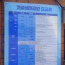 갯골생태공원(인포센터) | 시흥여행 시흥갯골생태공원 가볼만한 가족여행지 피크닉하기좋음 ^^~ 4.28