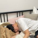 포리애견 이미지