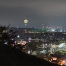 2025 수원 화성행궁 야간개장(달빛화담) 후기!