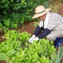 종근축산 이미지