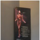 더 킹스짐 | 쾌적한 환경과 트레이닝 실력 모두 만족한 제주헬스장 킹스짐 후기