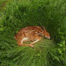 my drink museum 이미지