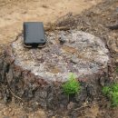 누렁소 농장 이미지