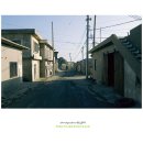 세례농장 이미지