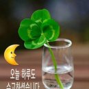 스타일피트 이미지