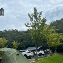 입화산 제2오토야영장 이미지