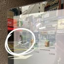 [부산 카페] 그레이팬더 서면 1호점 방문 솔직후기 / 음료&amp;디저트, 가격, 메뉴