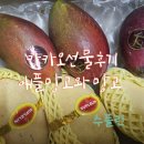 애플망고 | 카카오톡 선물하기 추천 과일 수플린 망고 애플망고 후기