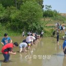 서천(서울) 이미지