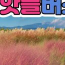 제주포인트투어 이미지