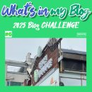 송화벽화시장 | [블챌] 추석이로구나~ 명절 분위기 가득한 서울 강서구 우장산역 송화벽화시장🌕