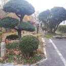 애보박물관 이미지