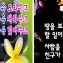 건강미소