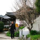 벌교원동 이미지