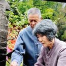 꿀벌부부