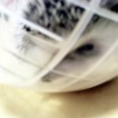 공굴러 가유 이미지