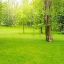 성은회(은퇴여교역자회) 제33회 총회 및 제32회 수양회 🌳 이미지