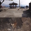 똘이농장 이미지