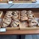 [25-3] 카페베이커리 | 제천 포레스트 리솜3. 마묵라운지 카페 후기☕ 베이커리에 특별한 기념품까지?