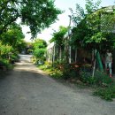 마실휴양농원 이미지