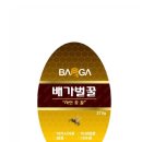윤스팜
