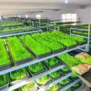 대안목장 이미지