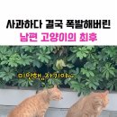 Nat King Cole - Pretend 이미지